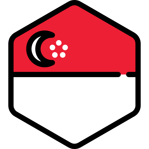 سرور مجازی سنگاپور